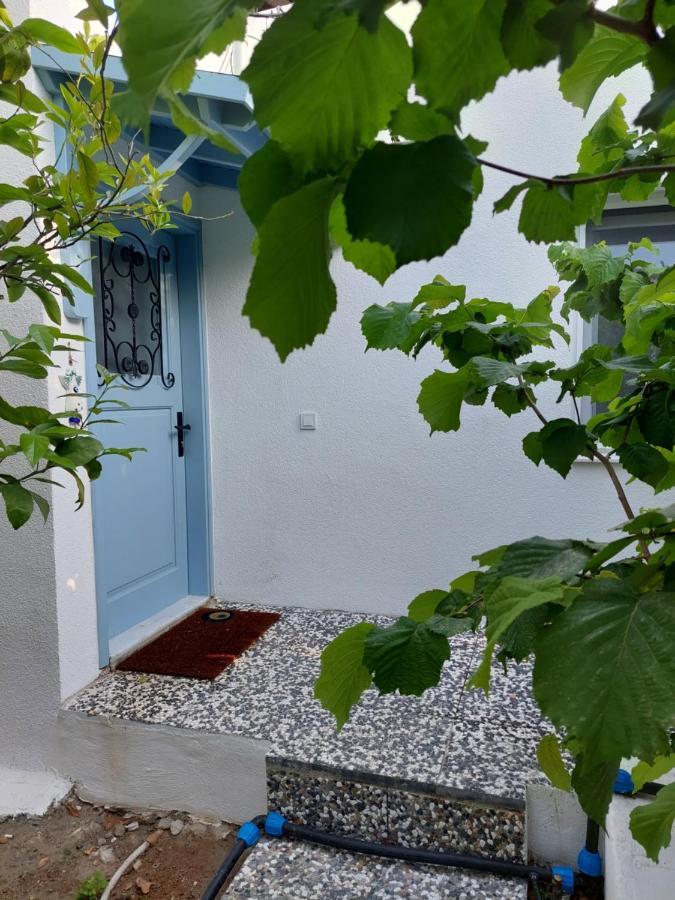 Mel'S Garden House In The Heart Of The City Bodrum Exterior photo